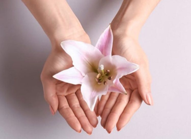 Gynaecological Aesthetics